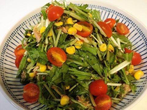 水菜とツナの彩りサラダ★